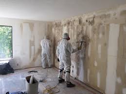 Why You Should Choose Our Mold Remediation Services in Newark, TX